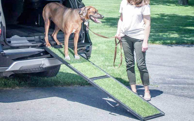 Gen7Pets-Natural-Step-Ramp-for-Pets