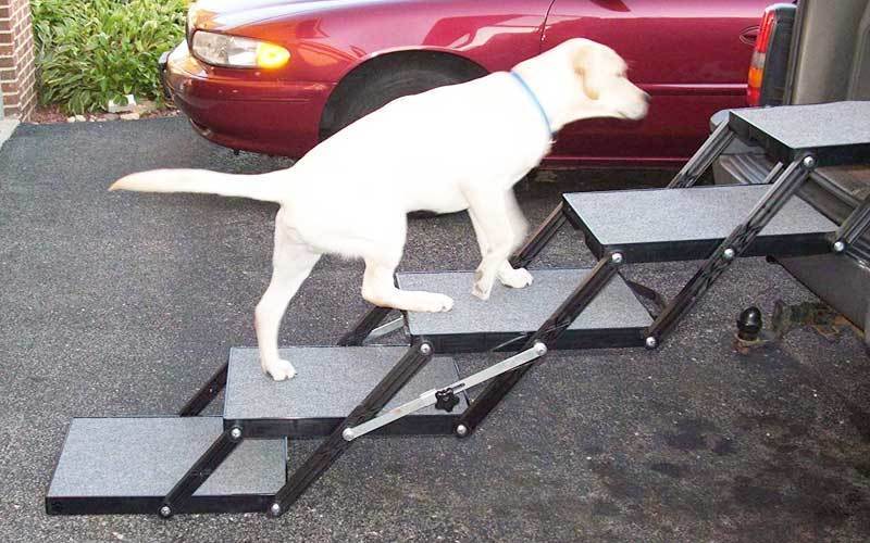 Pet-Loader-Light-dog-ramp