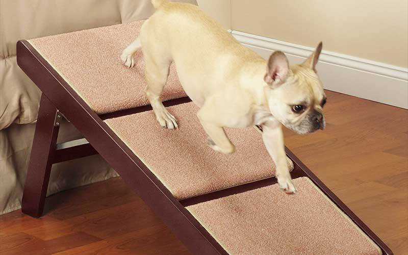 Pet-Studio-Pine-Frame-Dog-RampSteps-1