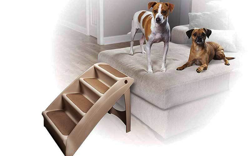 best dog ramp for large dogs
