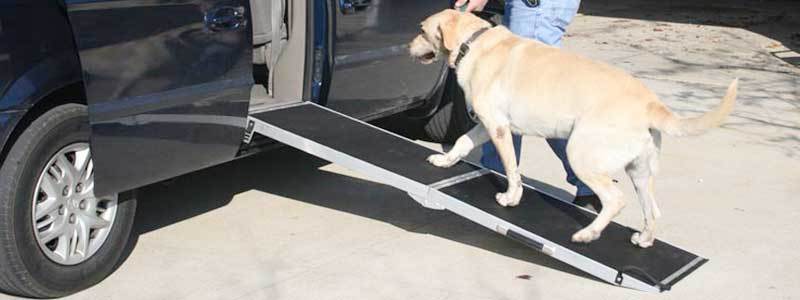 best dog ramp review
