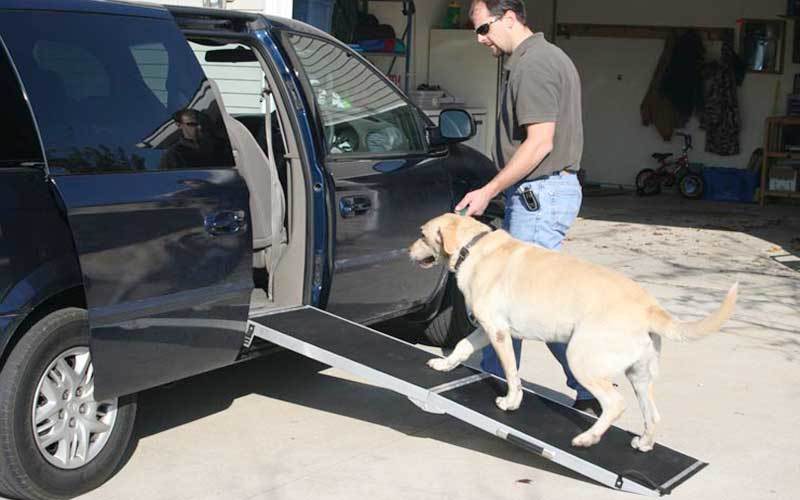 Best Dog Ramp You Can Choose