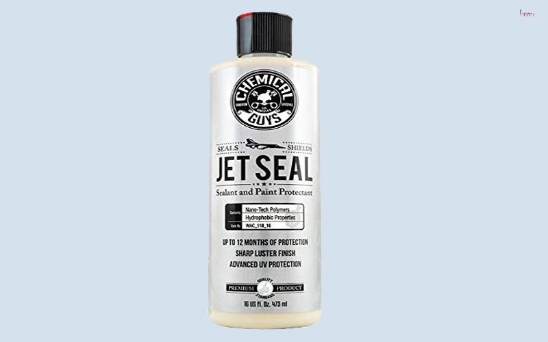 Best Paint Sealant for Harsh Environment Review
