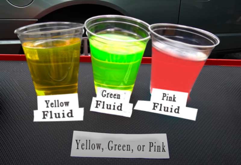 Yellow, Green, or Pink