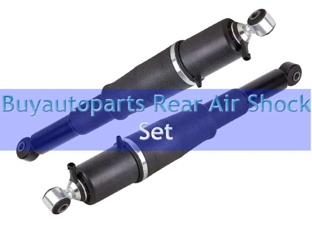 buyautoparts Rear Air Shock Set